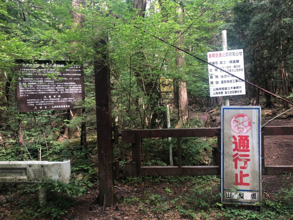 Lối vào rừng Aokigahara ở tỉnh Yamanashi – nơi gắn liền với cái tên “rừng tự sát”