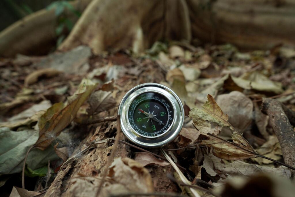 La bàn đặt trên nền đá núi lửa trong rừng Aokigahara – hiện tượng nhiễu từ do dung nham cổ