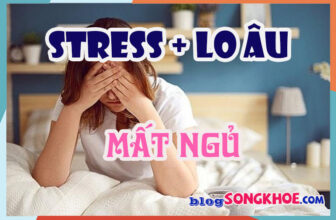 Stress + lo âu = mất ngủ? Giải pháp đơn giản để ngủ ngon mỗi đêm