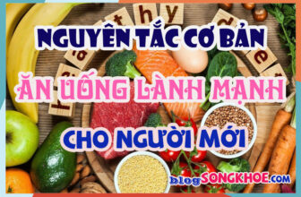 Ăn uống lành mạnh là gì? Nguyên tắc cơ bản cho người mới bắt đầu