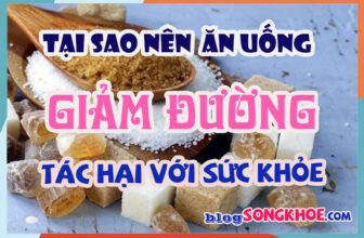 Tại sao nên giảm đường? Tác hại của ăn nhiều đường và lý do bạn vẫn thèm ngọt