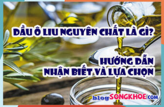 Dầu ô liu nguyên chất là gì? Hướng dẫn nhận biết và lựa chọn dầu ô liu chuẩn xịn