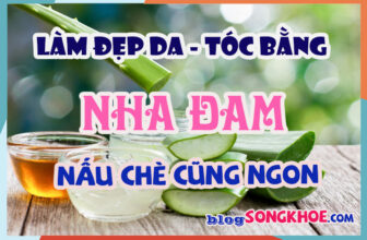 Bí mật về công dụng của nha đam: da căng bóng, tóc mượt như xài filter 360