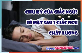 Chu kỳ giấc ngủ (REM, NREM) – Bí mật phía sau một giấc ngủ chất lượng