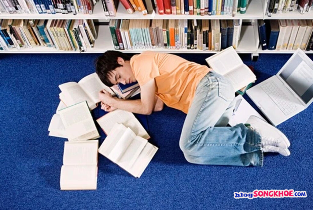 ngủ trưa cải thiện trí nhớ và khả năng học tập