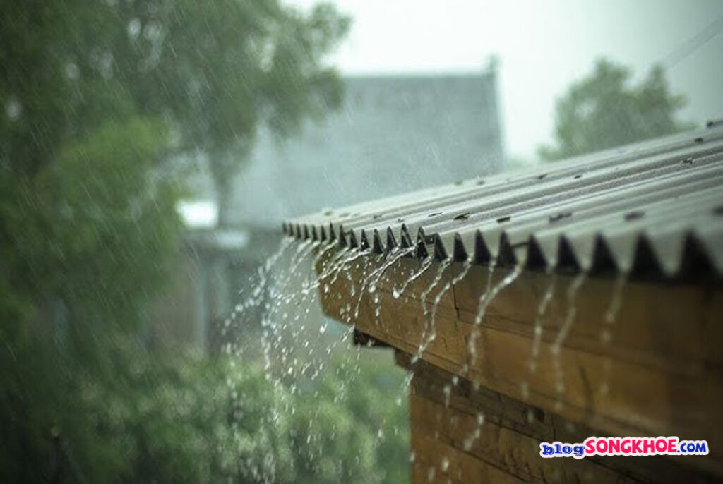 tiếng mưa - thứ white noise khiến nhiều người say đắm