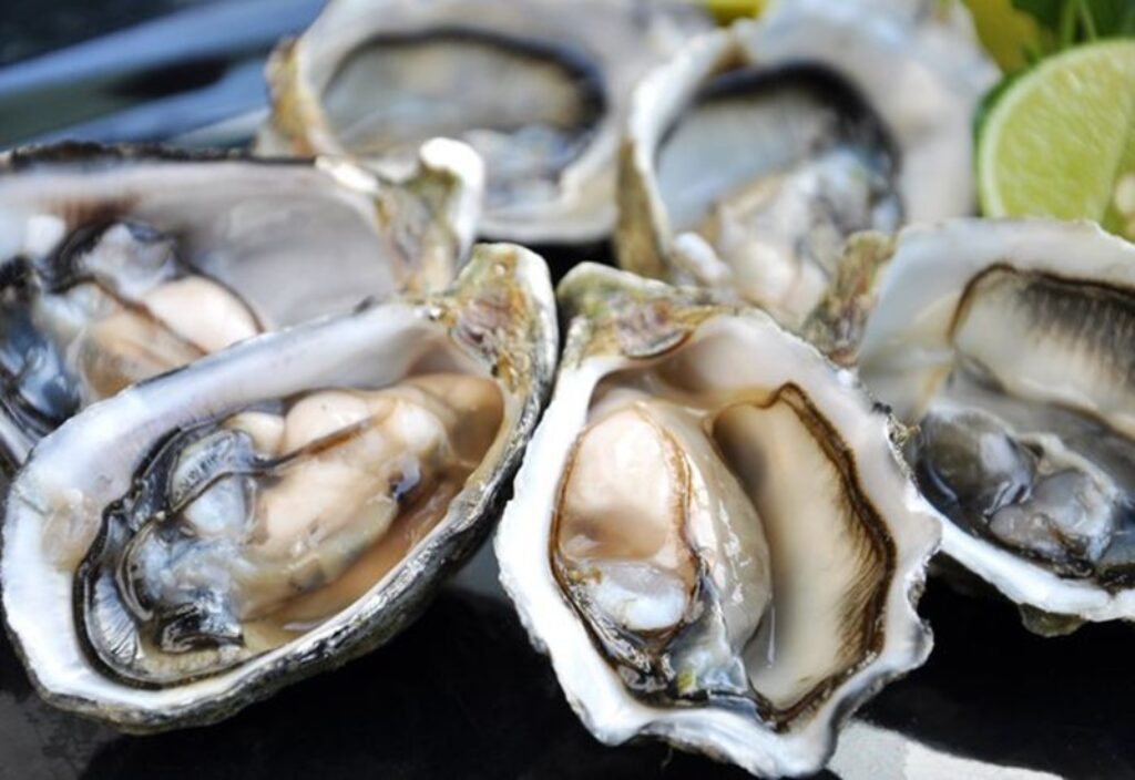 Hàu (Oysters) rất giàu omega-3