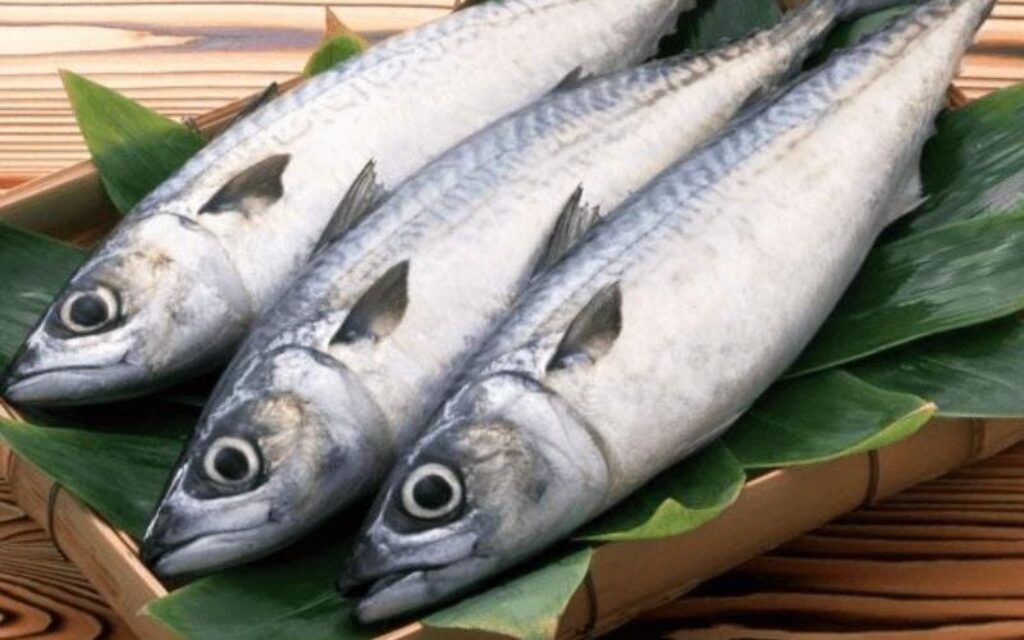 cá thu là 1 trong những thực phẩm giàu omega-3