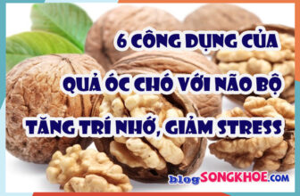 6 công dụng của quả óc chó với não bộ: “thực phẩm vàng” giúp tăng trí nhớ và giảm stress