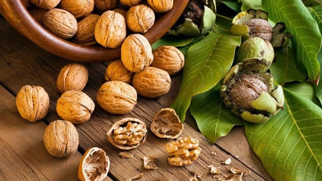 quả óc chó rất tốt cho não bộ và trí nhớ