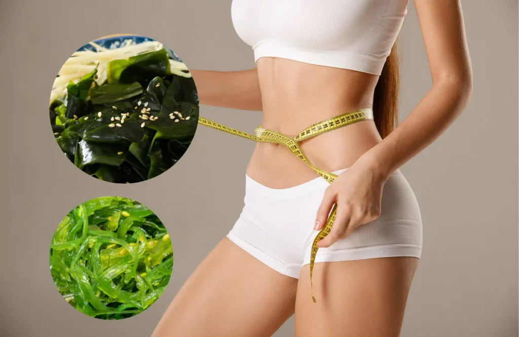 rong biển có thể gián tiếp hỗ trợ giảm cân
