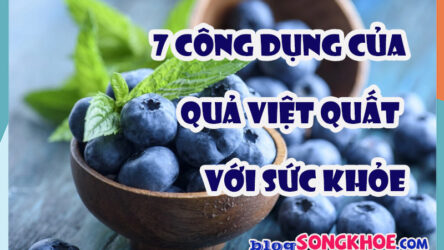 7 công dụng của quả việt quất với sức khỏe: tăng trí nhớ, đẹp da, giảm viêm, hỗ trợ tim mạch và đường huyết
