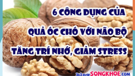 6 công dụng của quả óc chó với não bộ: “thực phẩm vàng” giúp tăng trí nhớ và giảm stress