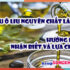 Dầu ô liu có giúp giảm cân không? Hướng dẫn sử dụng dầu ô liu đúng cách