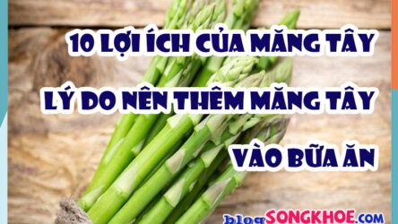 Lý do nên thêm măng tây vào bữa ăn – 10 lợi ích nổi bật của măng tây