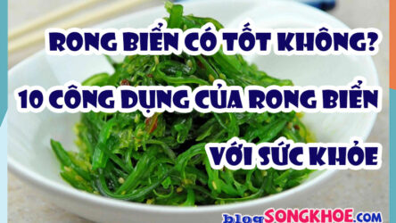 Ăn rong biển khô có tốt không? 10 công dụng của rong biển với sức khỏe không phải ai cũng biết